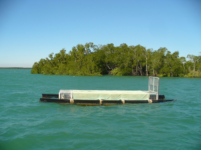 Crocodile information and awareness Australia 4 Wheel Drive Rentals
